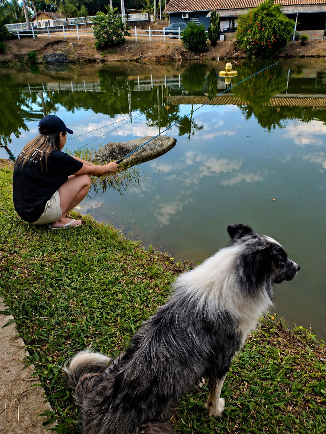 Pesque & Pague no PIER8 — pessoa pescando à beira do lago com cachorro border collie